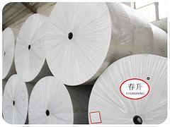 【創(chuàng)新的聚酯胎 要買優(yōu)惠的長絲聚酯胎,就到壽光春升】創(chuàng)新的聚酯胎 要買優(yōu)惠的長絲聚酯胎,就到壽光春升批發(fā)價(jià)格,廠家,圖片,壽光市春升非織造布 -