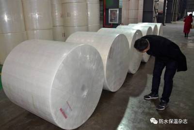 華東首條寬幅長(zhǎng)絲聚酯胎生產(chǎn)線落戶(hù)&ldquo;布實(shí)&rdquo;